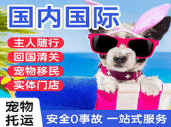 瑷珲机场货运国际宠物托运 【国